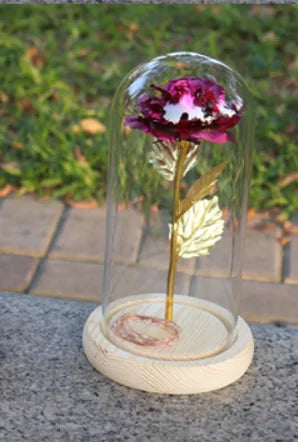 Rose Dome Glass