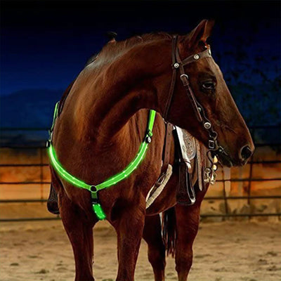 Nylon LED Horse Harness